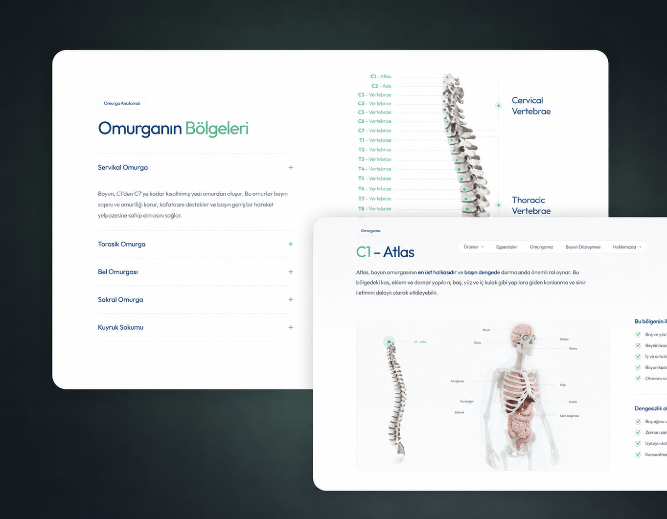 Boyun Düzleşmesi digital health interface