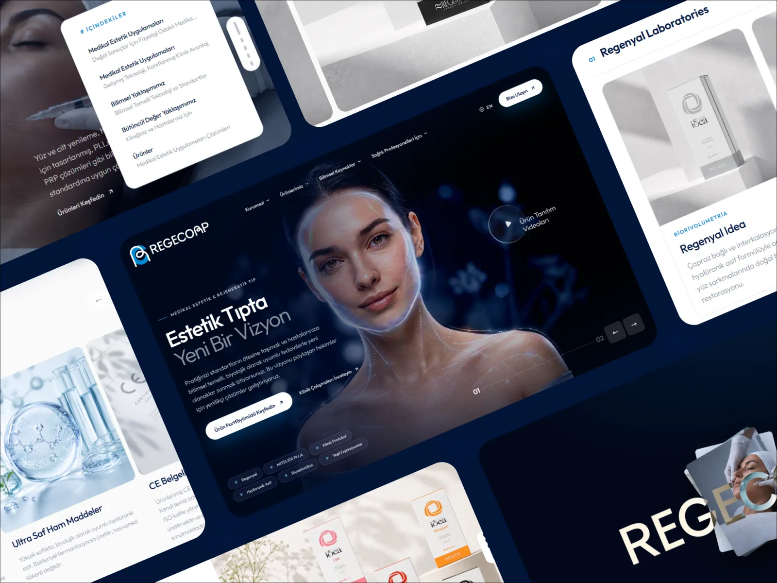Regecorp regenerative medicine interface