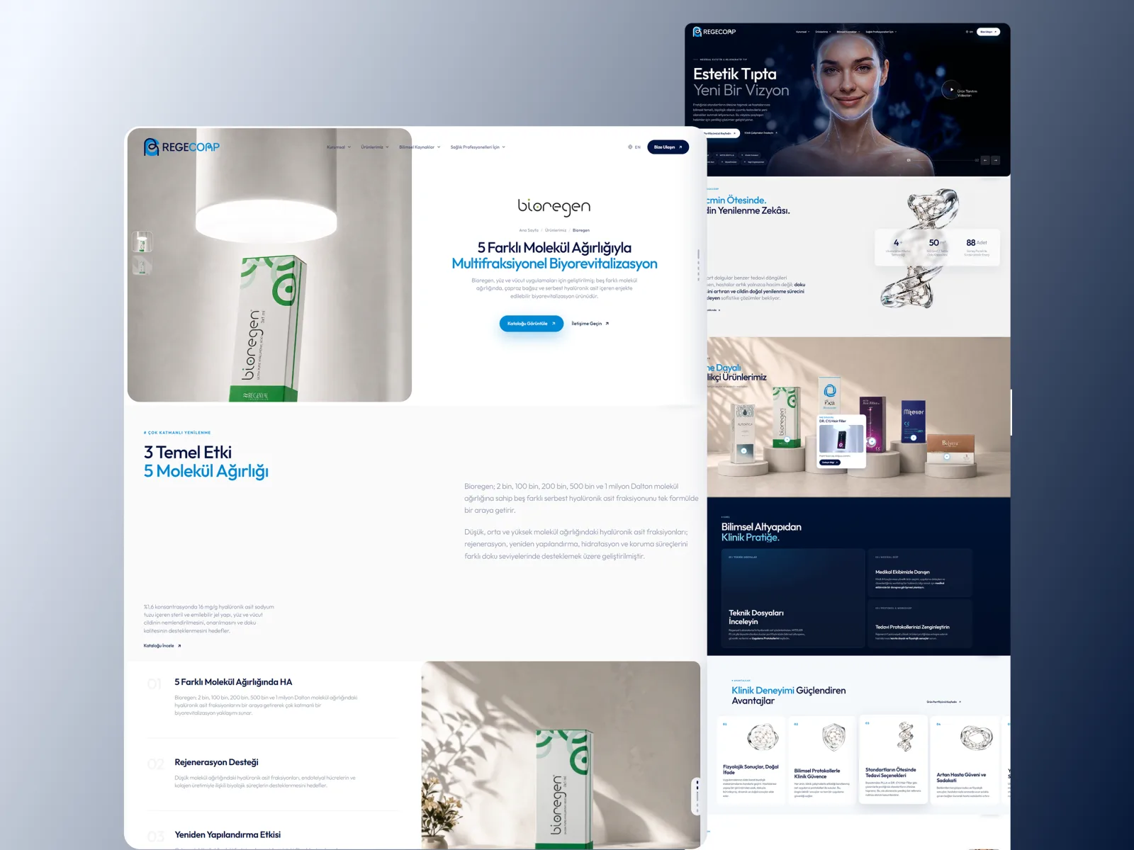 Regecorp interface preview