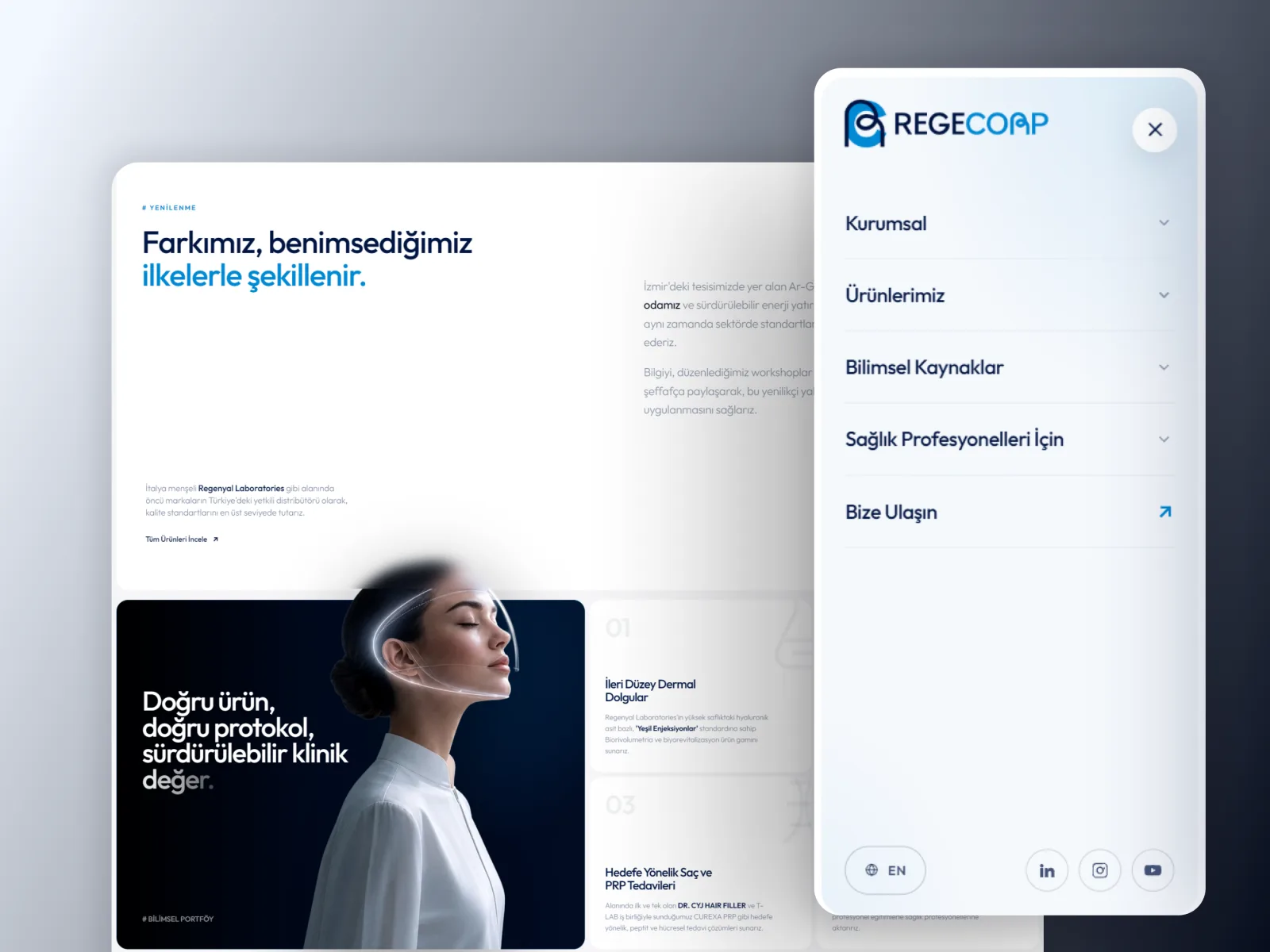 Additional Regecorp interface presentation