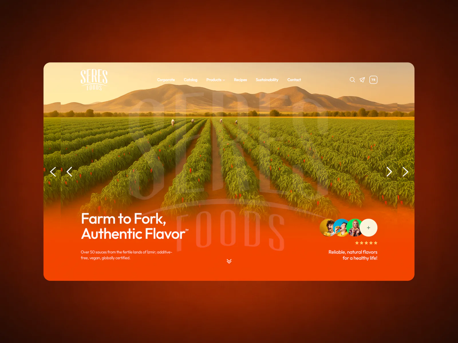 Additional Seres Foods interface presentation